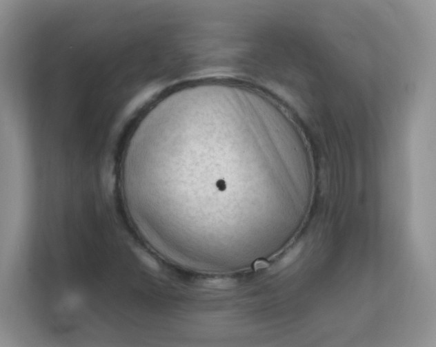 X0000111601406200907301437