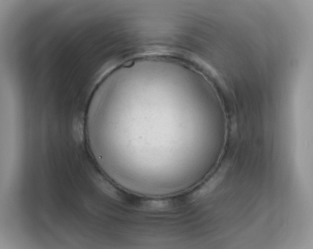 X0000111601409200907301437