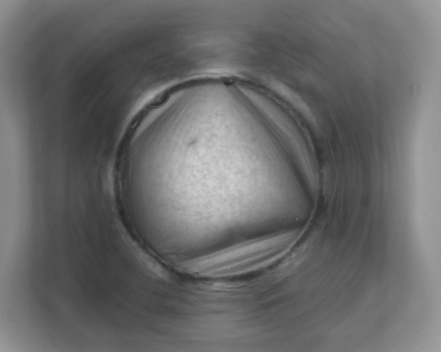 X0000111601412200907301437