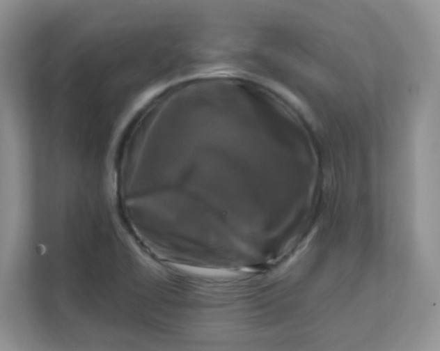 X0000111601414200907301437