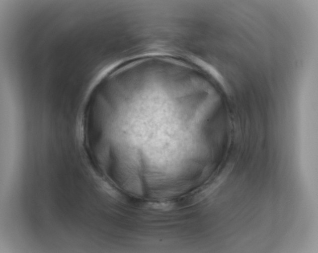 X0000111601415200907301437