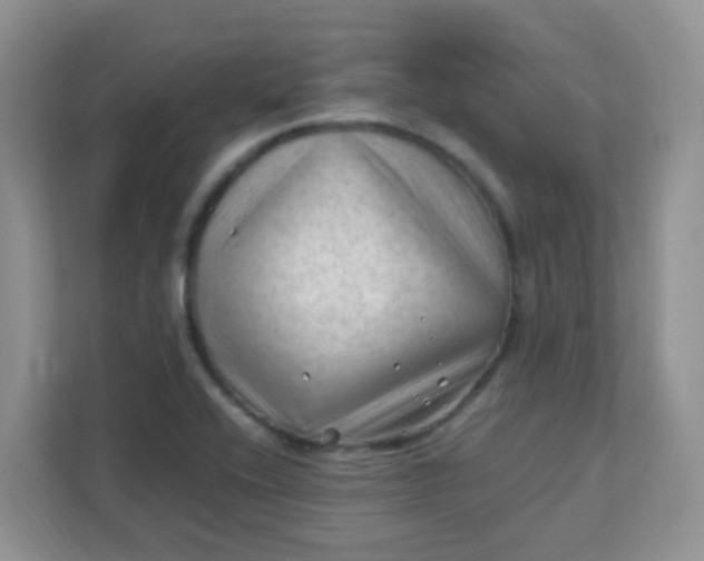 X0000111601416200907301437