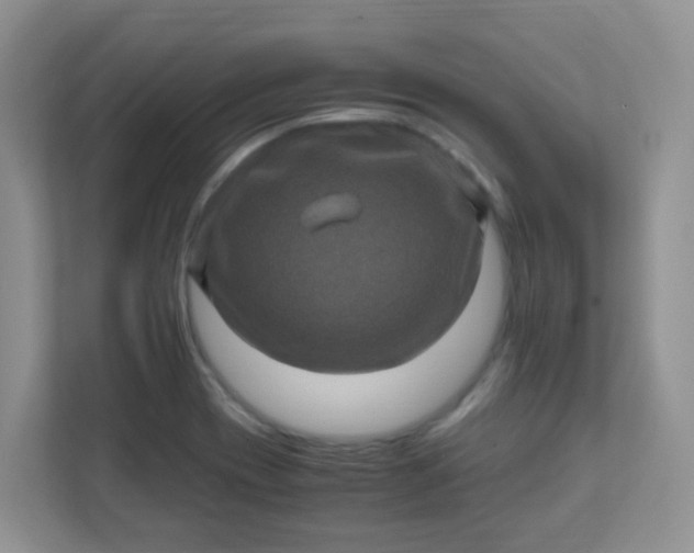 X0000111601417200907301437