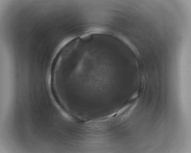 X0000111601418200907301437