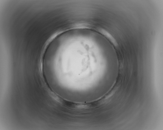 X0000111601419200907301437