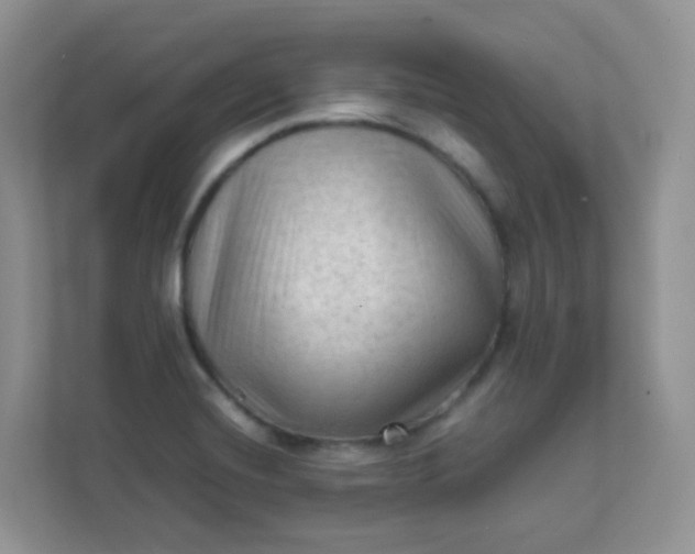 X0000111601420200907301437