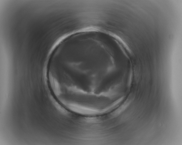 X0000111601422200907301437
