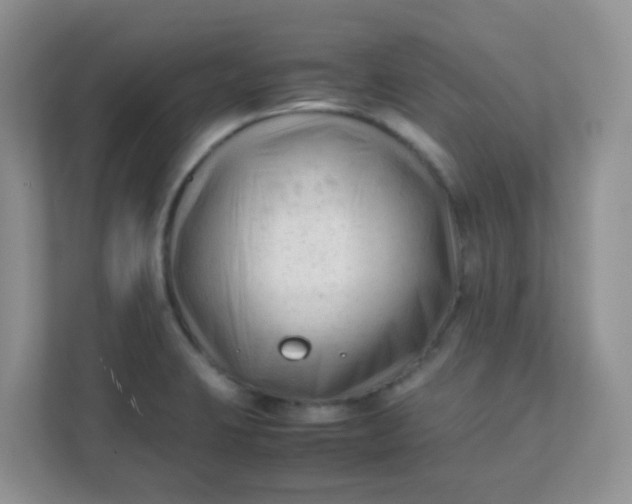 X0000111601423200907301437