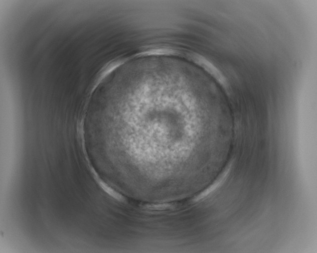 X0000111601425200907301437