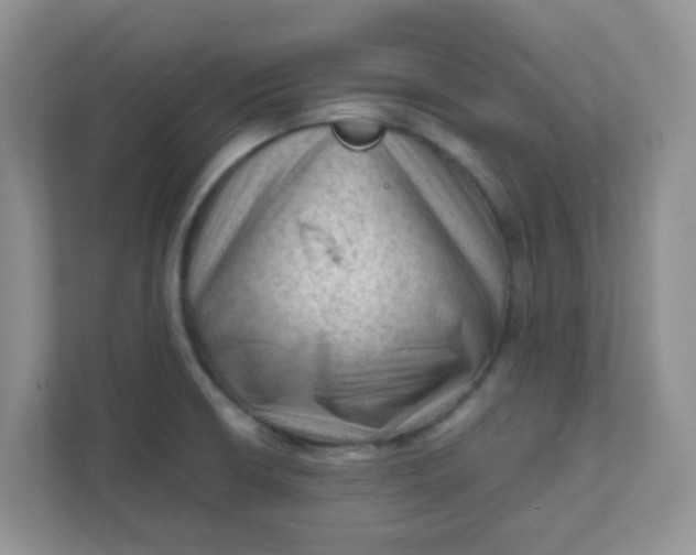 X0000111601426200907301437