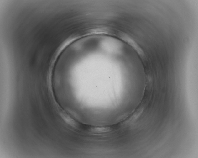 X0000111601427200907301437