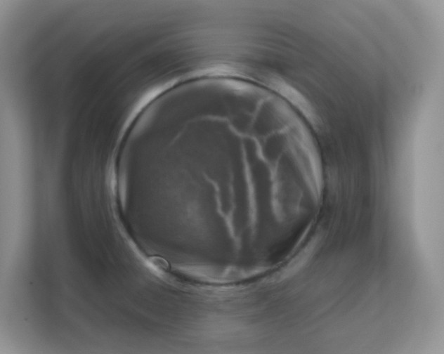X0000111601428200907301437