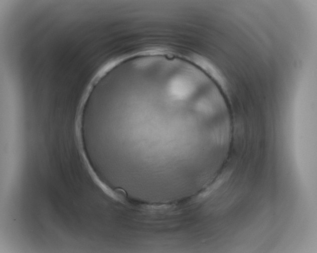 X0000111601429200907301437