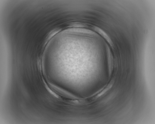 X0000111601433200907301437