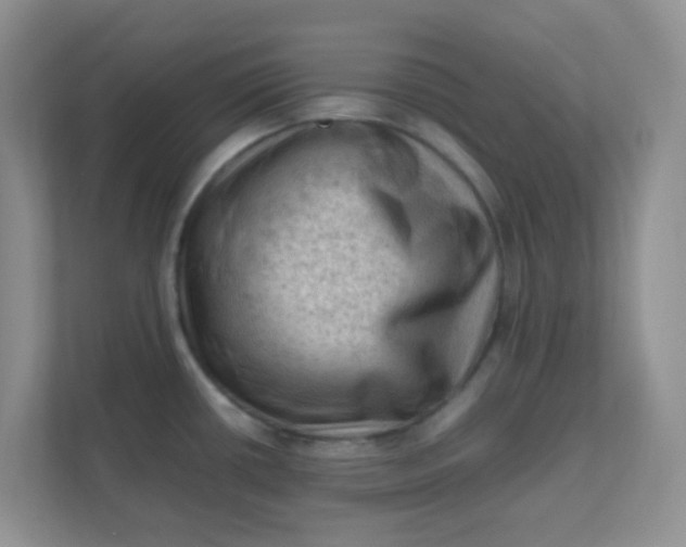 X0000111601434200907301437
