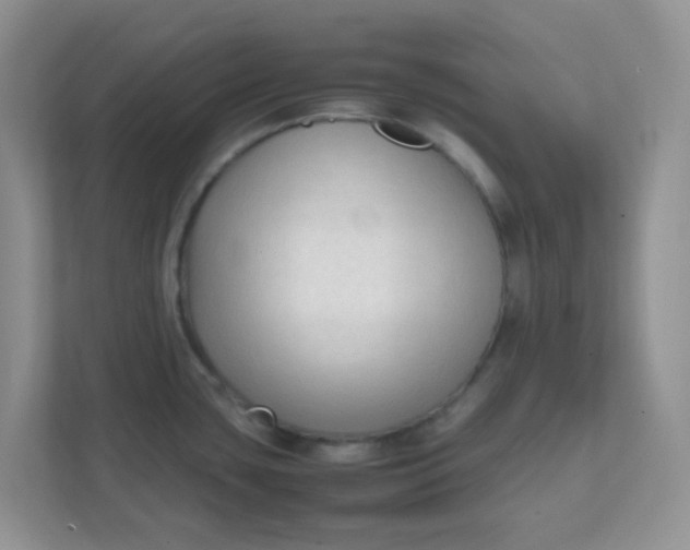 X0000111601435200907301437