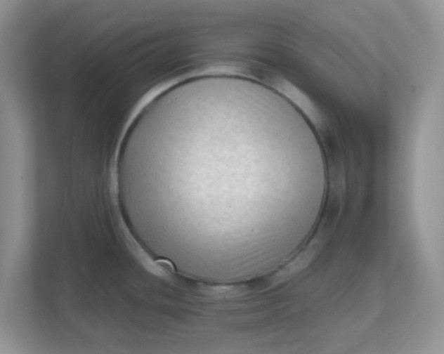 X0000111601436200907301437