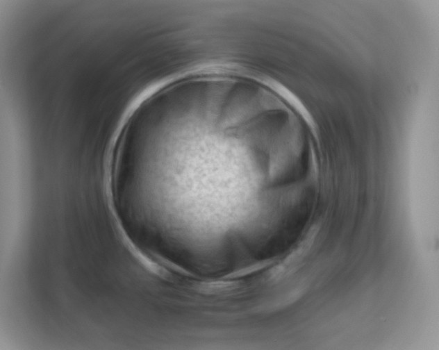X0000111601437200907301437