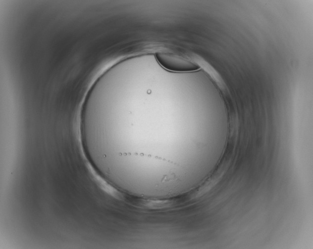X0000111601439200907301438