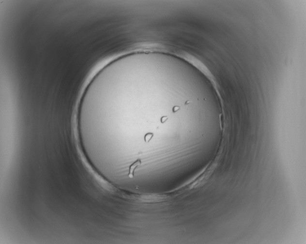 X0000111601440200907301438