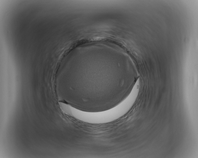 X0000111601441200907301437
