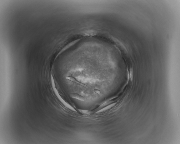 X0000111601444200907301437