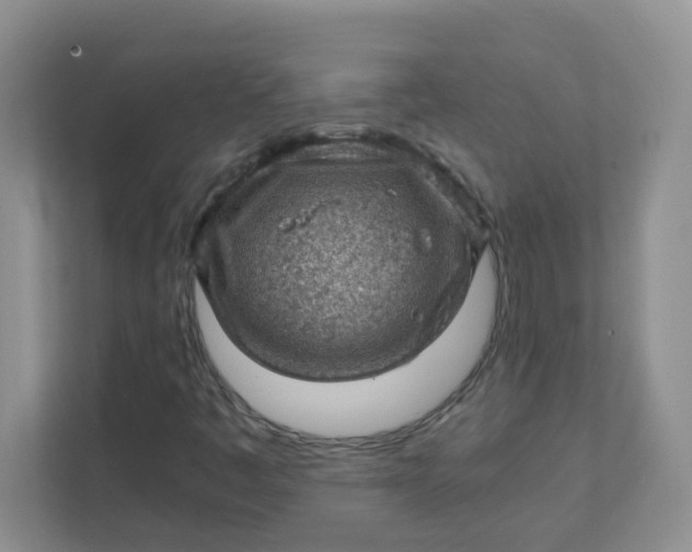 X0000111601445200907301437