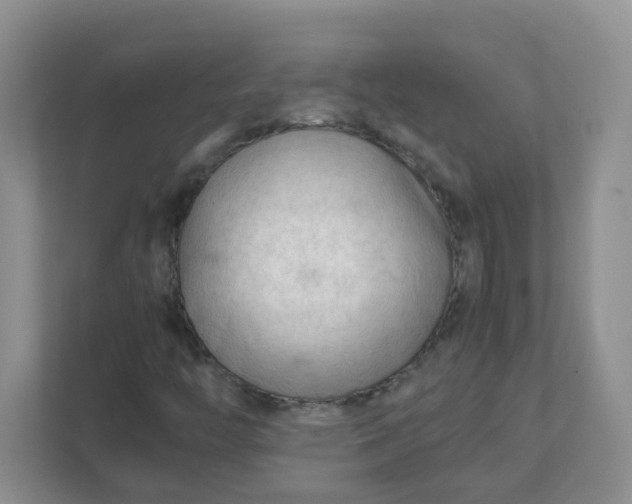 X0000111601446200907301437