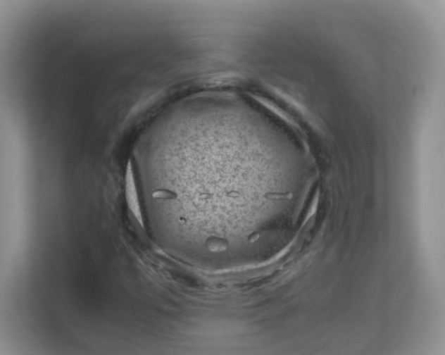 X0000111601447200907301437