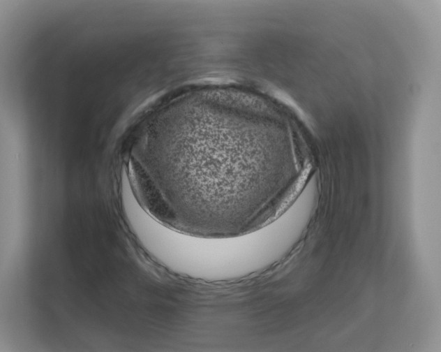 X0000111601448200907301437