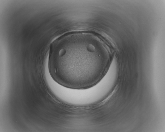 X0000111601449200907301437