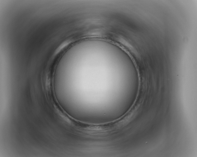 X0000111601450200907301437