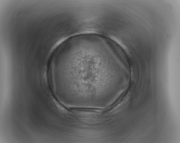 X0000111601452200907301437
