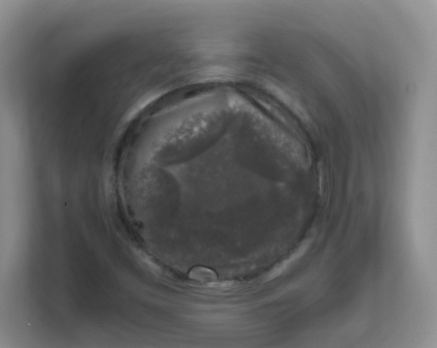 X0000111601453200907301437