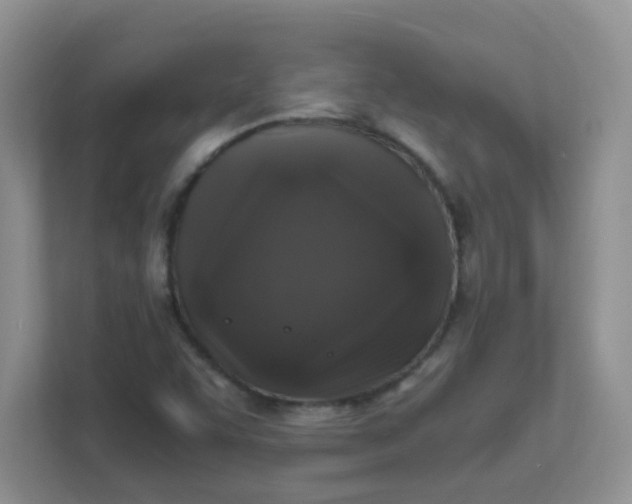 X0000111601455200907301437