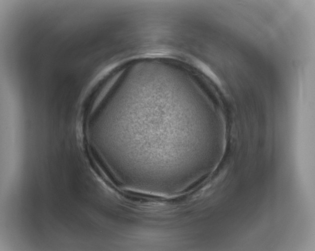 X0000111601456200907301437