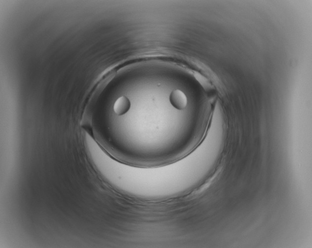 X0000111601457200907301437