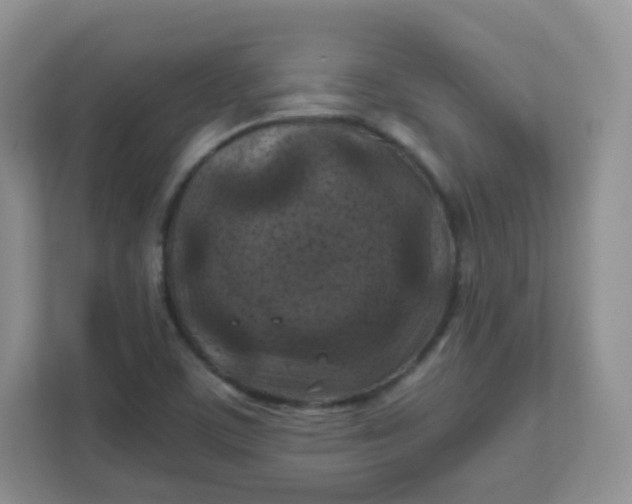 X0000111601459200907301437