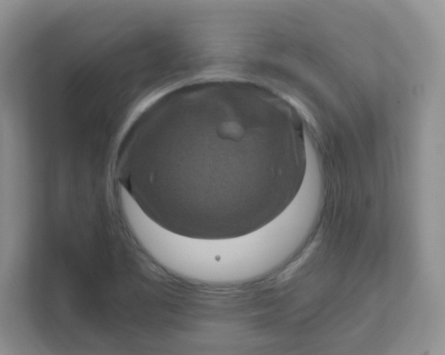 X0000111601461200907301437
