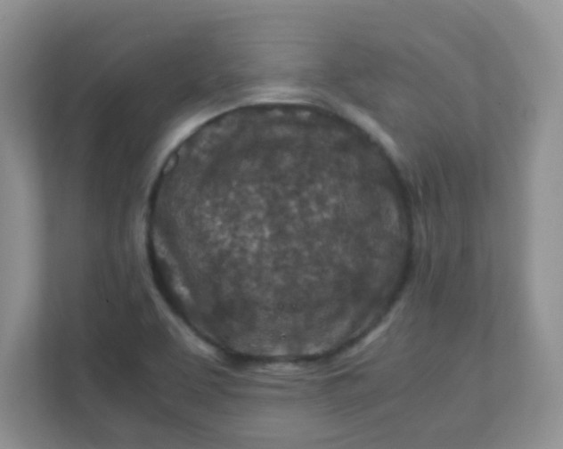 X0000111601463200907301437