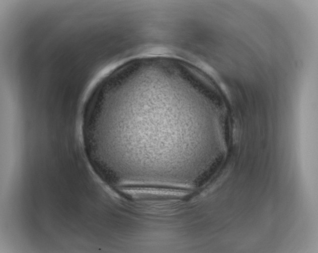 X0000111601464200907301437