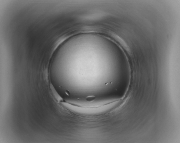 X0000111601465200907301437