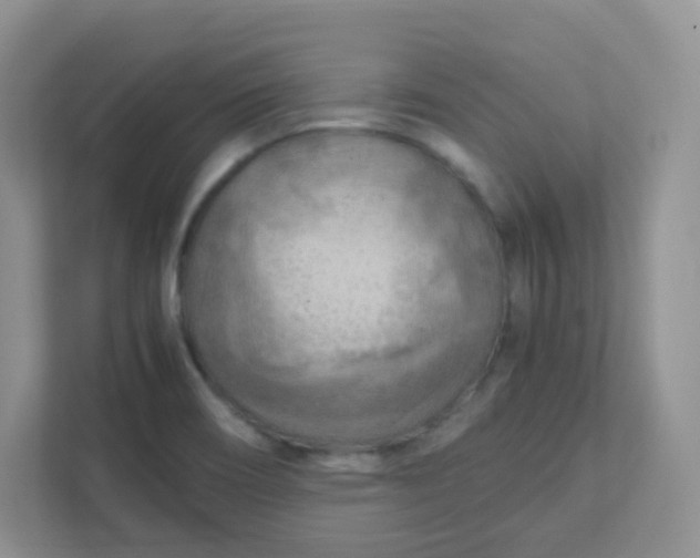 X0000111601466200907301437