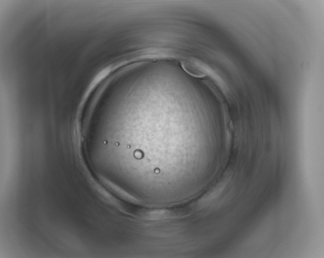 X0000111601467200907301437