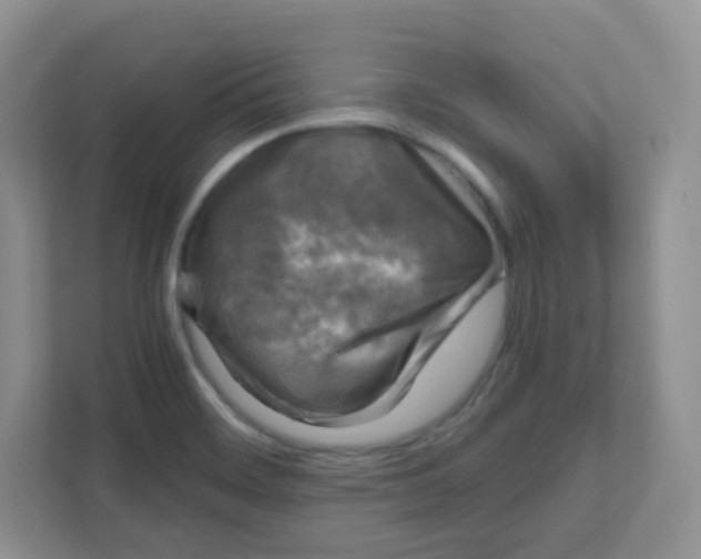 X0000111601468200907301437