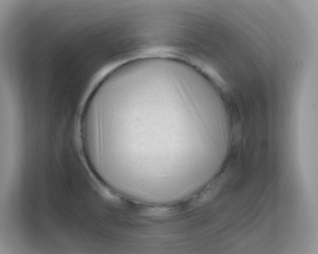 X0000111601470200907301437