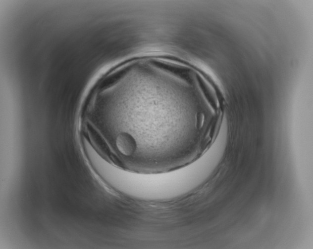 X0000111601472200907301437