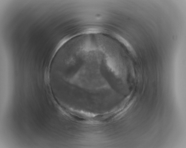X0000111601473200907301436