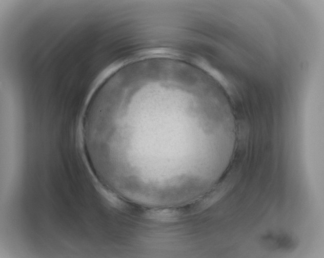 X0000111601474200907301436
