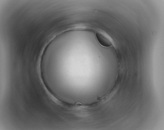 X0000111601475200907301436